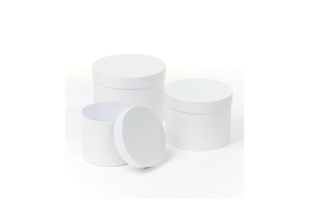 Hat Boxes - White - Set van 3