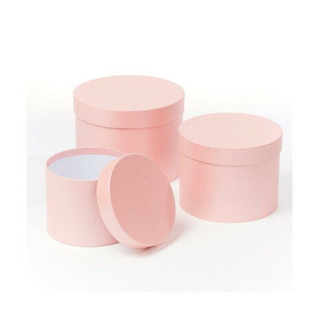 Hat Boxes - pearl pink- Set van 3