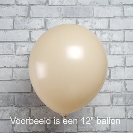 Mooideco - Kalisan Standaard Blush12 inch ballonnen