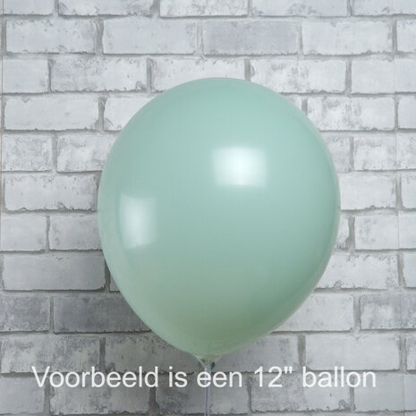 Mooideco - Kalisan Retro Winter Green 12 inch ballonnen