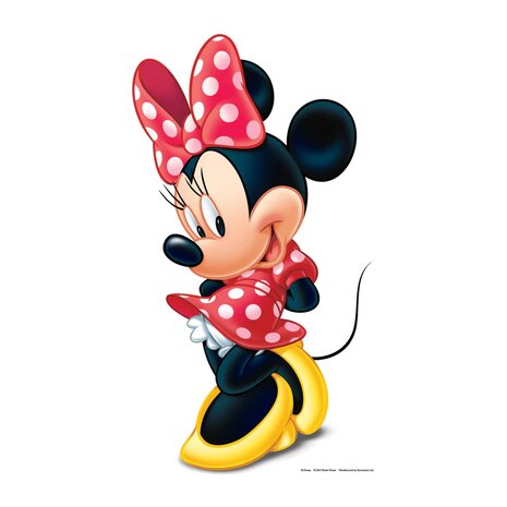 Minnie Mouse disney Cutout Mooideco 