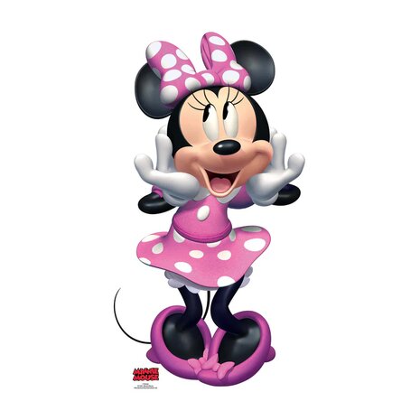 Minnie Mouse disney Cutout Mooideco 