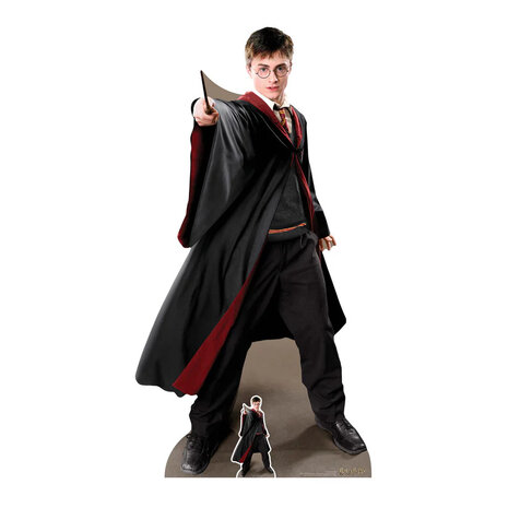 Mooideco - Cut out Harry Potter