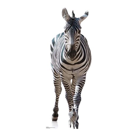 Mooideco - Cut out Zebra 162 cm