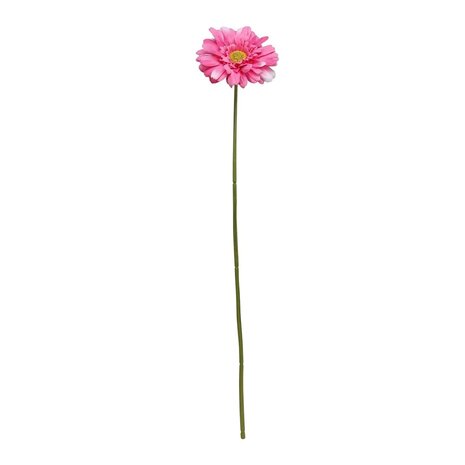 Mooideco - Gerbera Fuchsia