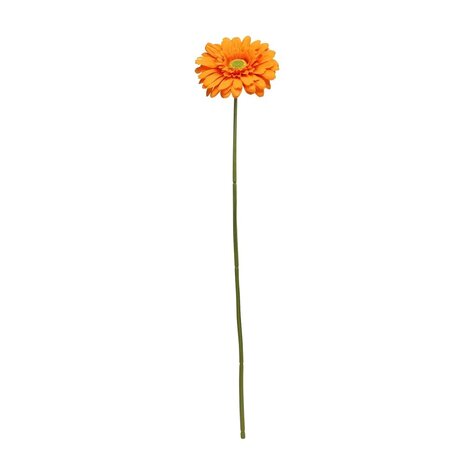 Mooideco - Gerbera Orange