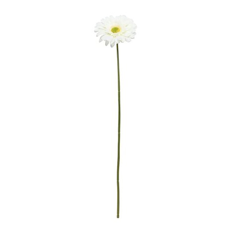 Mooideco - Gerbera White