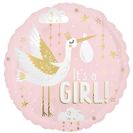 Mooideco - Special Delivery - Baby Girl - 9 inch - A15 Anagram (1)