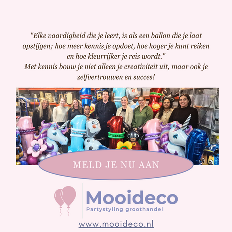 Workshop Ballonboeketten -  19 Januari 2025 - 10:00 / 16:00