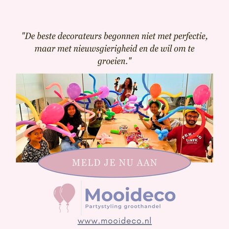 Mooideco - Workshop Ballonfiguren voor beginners 7 Maart 2025