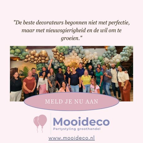 Masterclass - Organic ballondecoraties op frames door Melissa Bellefontaine bij Mooideco groothandel