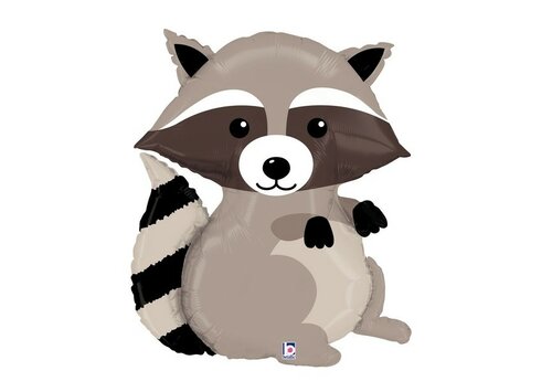 Raccoon - Woodland