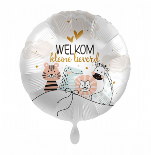 welkom kleine lieverd - 18 inch - everloon (1)