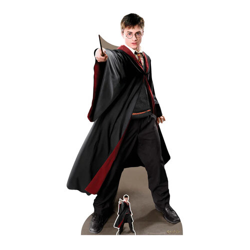 Cut out Harry Potter 170CM + 1 mini