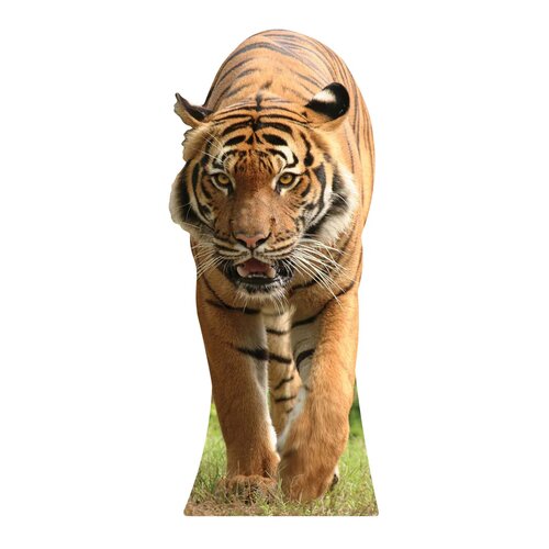 Cut out Tijger 130 CM