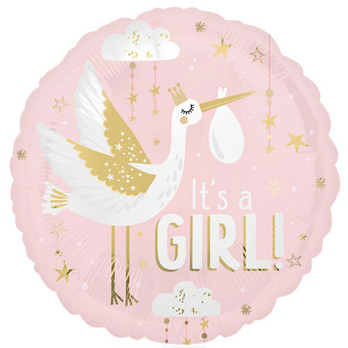 Special Delivery - Baby Girl - 18 inch - S40 Anagram (1)